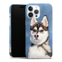 Premium Card Case glossy