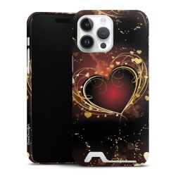 Premium Card Case glossy