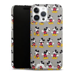 Premium Card Case glossy