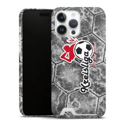 Premium Card Case glossy