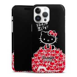 Premium Card Case glossy