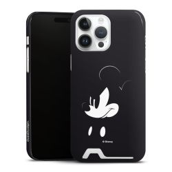 Premium Card Case glossy