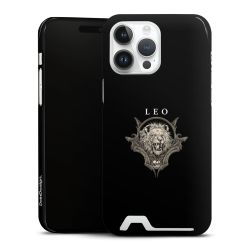 Premium Card Case glossy