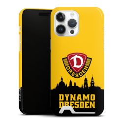 Premium Card Case glossy