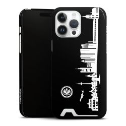 Premium Card Case glossy