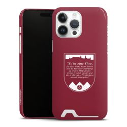 Premium Card Case glossy