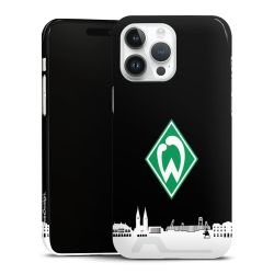 Premium Card Case glossy