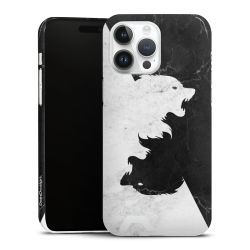 Premium Card Case glossy