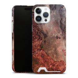 Premium Card Case glossy