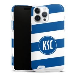 Premium Card Case glossy