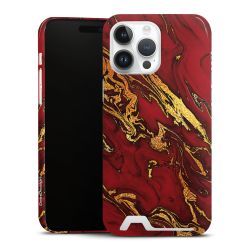 Premium Card Case glossy