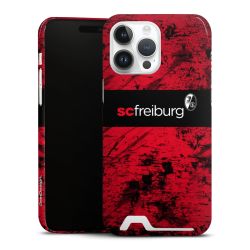 Premium Card Case glossy