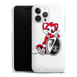 Premium Card Case glossy