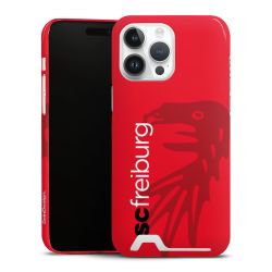 Premium Card Case glossy