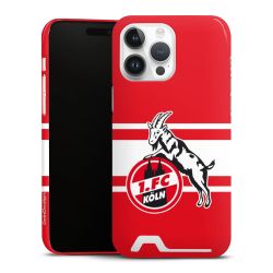 Premium Card Case glossy