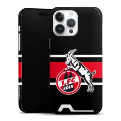 Premium Card Case glossy