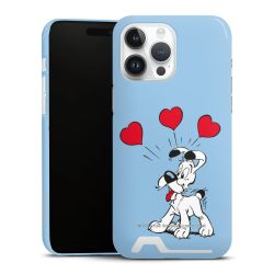 Premium Card Case glossy