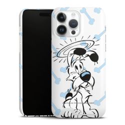 Premium Card Case glossy