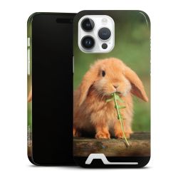 Premium Card Case glossy