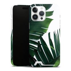 Premium Card Case glossy