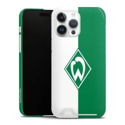 Premium Card Case glossy