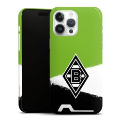 Premium Card Case glossy