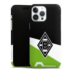 Premium Card Case glossy