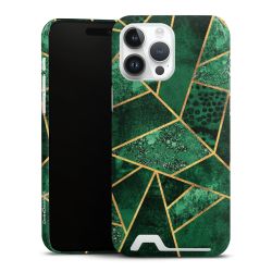 Premium Card Case glossy