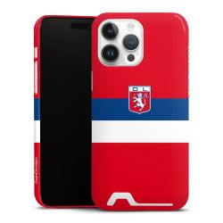 Premium Card Case glossy