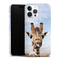 Premium Card Case glossy