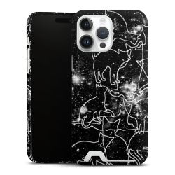 Premium Card Case glossy