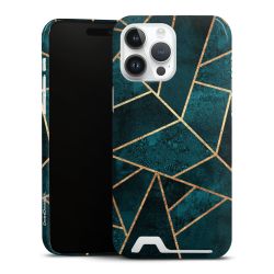 Premium Card Case glossy