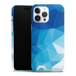 Premium Card Case glossy