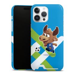 Premium Card Case glossy