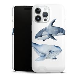 Premium Card Case glossy