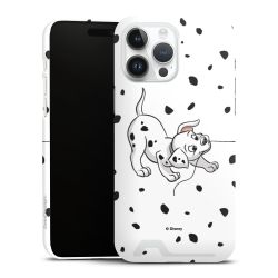 Premium Card Case glossy