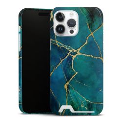 Premium Card Case glossy