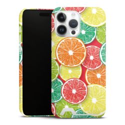 Premium Card Case glossy