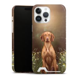 Premium Card Case glossy