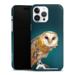 Premium Card Case glossy