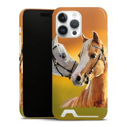 Premium Card Case glossy