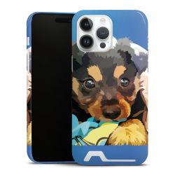 Premium Card Case glossy