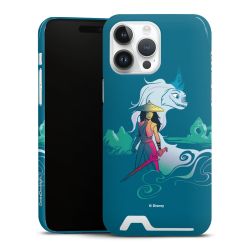 Premium Card Case glossy