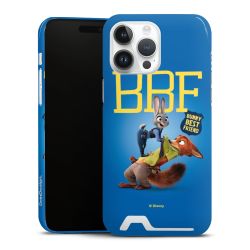 Premium Card Case glossy