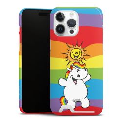 Premium Card Case glossy