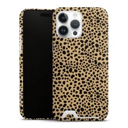 Premium Card Case glossy