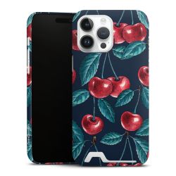 Premium Card Case glossy