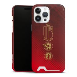 Premium Card Case glossy