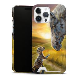 Premium Card Case glossy