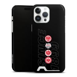 Premium Card Case glossy